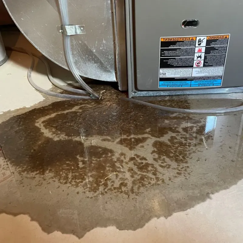 Pipe Burst and Leak Restoration in Kewaskum, WI