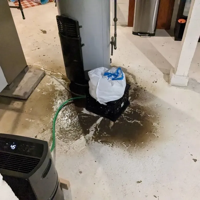Sewage Backup Cleanup Service in Kewaskum, WI